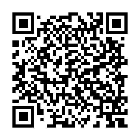 QR code for 868596