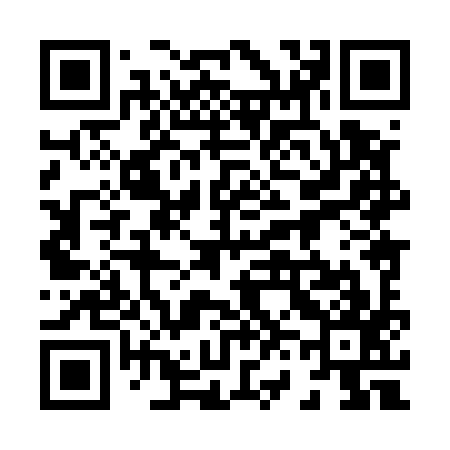 QR code for 868597