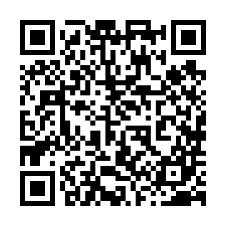 QR code for 868687