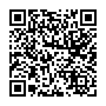 QR code for 869393
