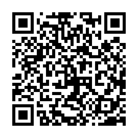 QR code for 870538