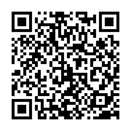 QR code for 873338
