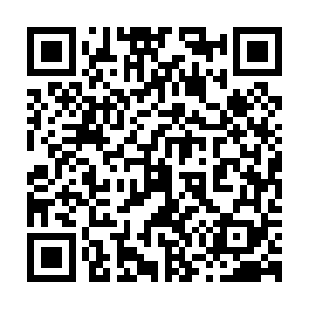QR code for 875069