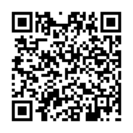 QR code for 875305