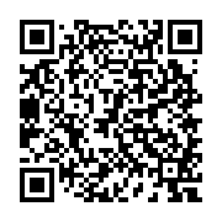 QR code for 875381