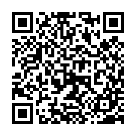 QR code for 875487