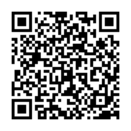 QR code for 876333