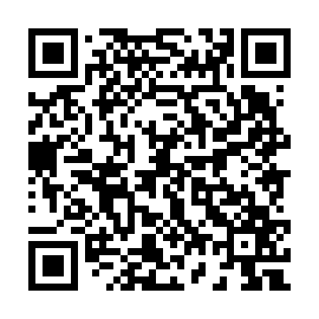 QR code for 878667