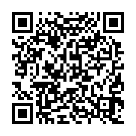 QR code for 893313