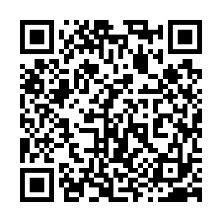 QR code for 899733