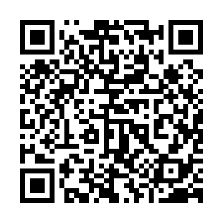 QR code for 911138