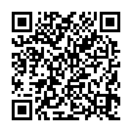 QR code for 911333