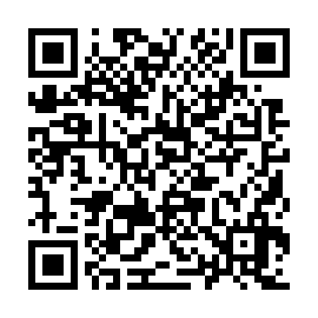 QR code for 911736
