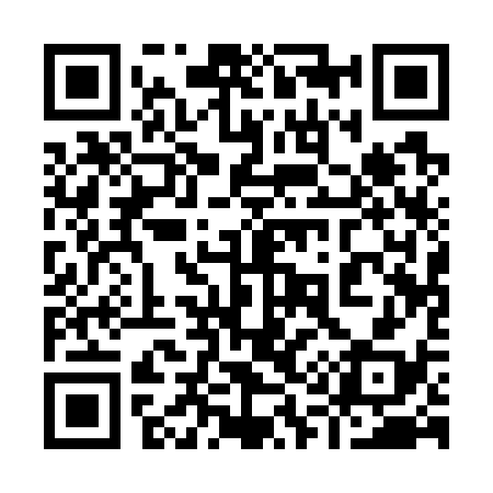 QR code for 911738