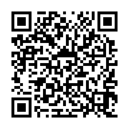 QR code for 914313