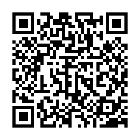 QR code for 919038