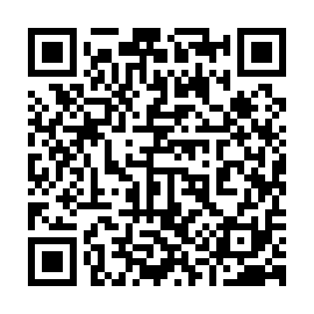QR code for 919111