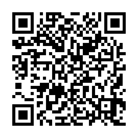 QR code for 919133