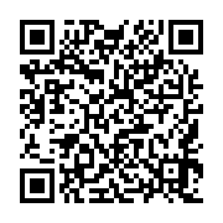 QR code for 919155