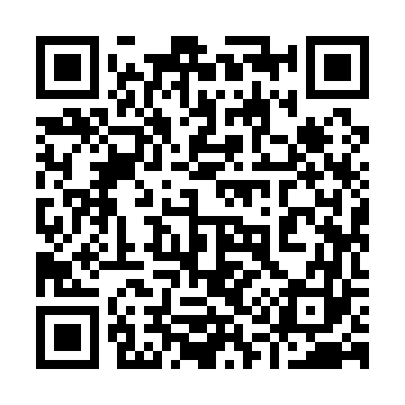 QR code for 919163