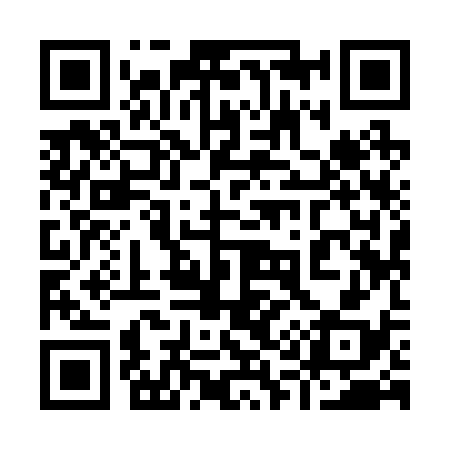 QR code for 919238