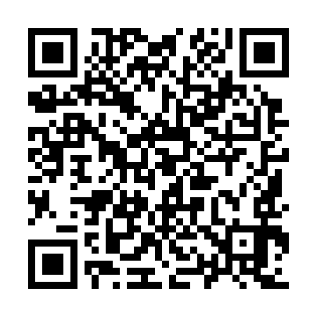 QR code for 919393