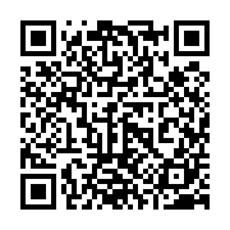 QR code for 919500