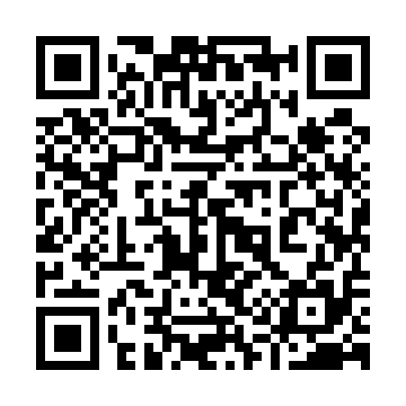 QR code for 919515