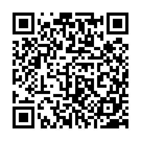 QR code for 919555