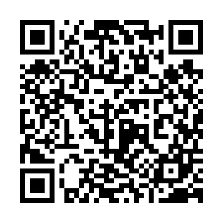 QR code for 919607