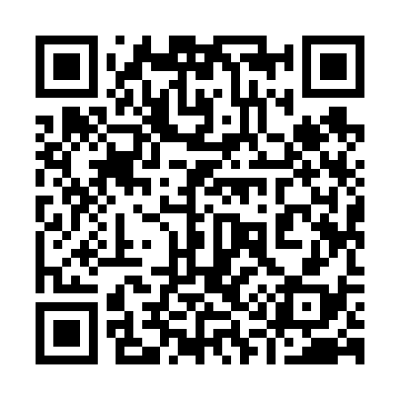 QR code for 919638