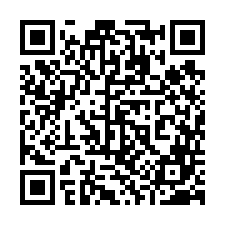 QR code for 919646
