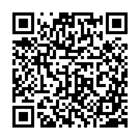 QR code for 919847