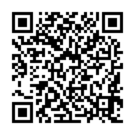QR code for 919993