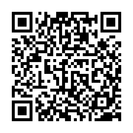 QR code for 919995