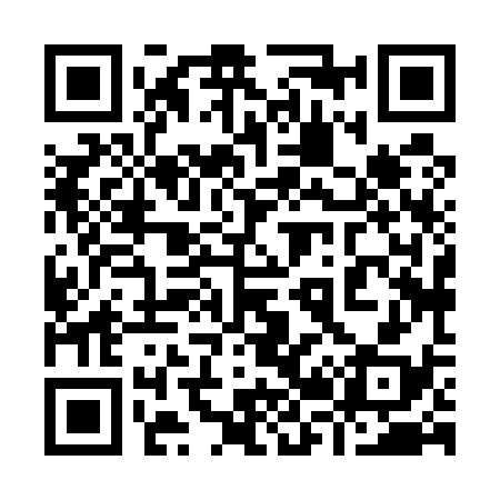 QR code for 928538