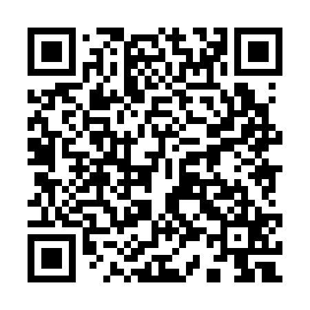 QR code for 938325