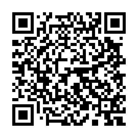 QR code for 950011