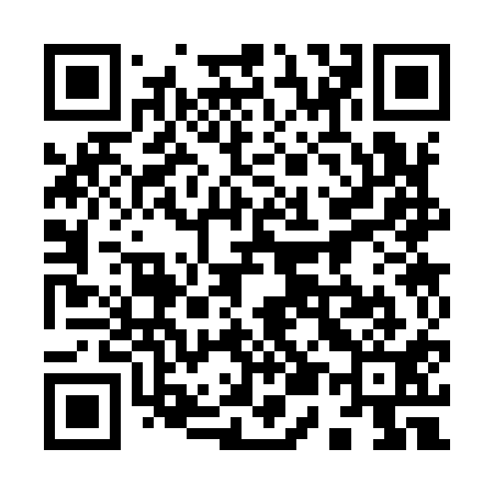 QR code for 953911
