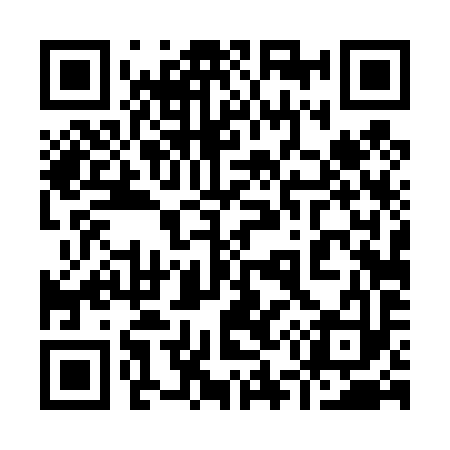 QR code for 954493