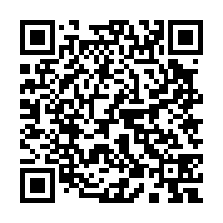 QR code for 955038