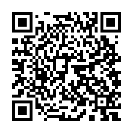 QR code for 956313