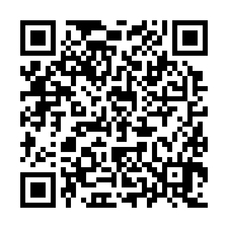 QR code for 956384
