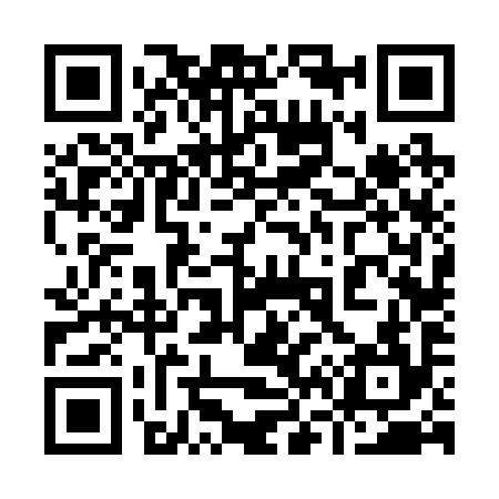QR code for 966294