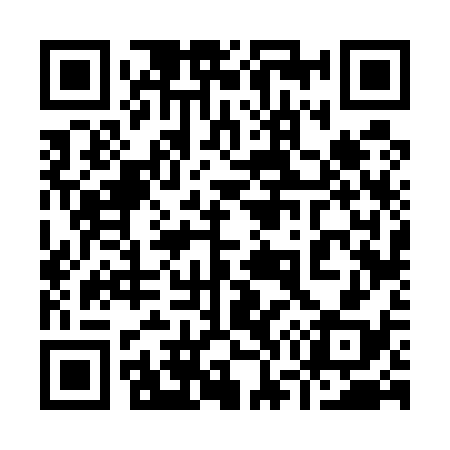QR code for 976538