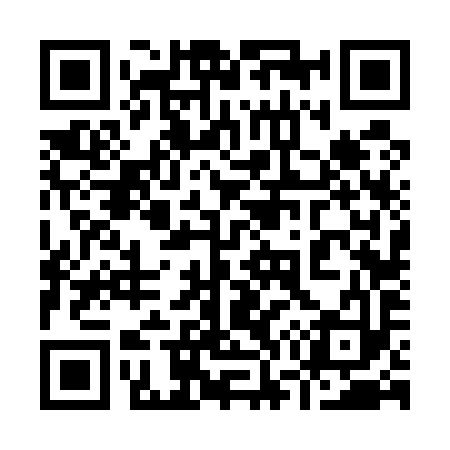 QR code for 976593