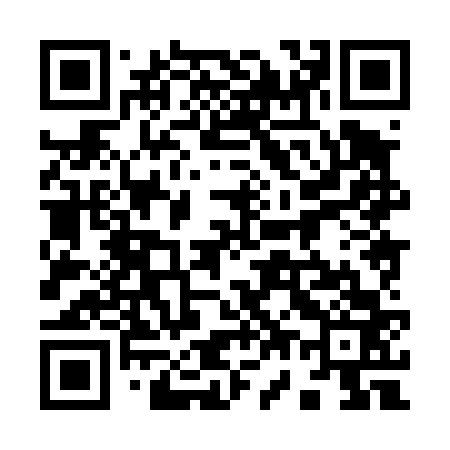QR code for 978463