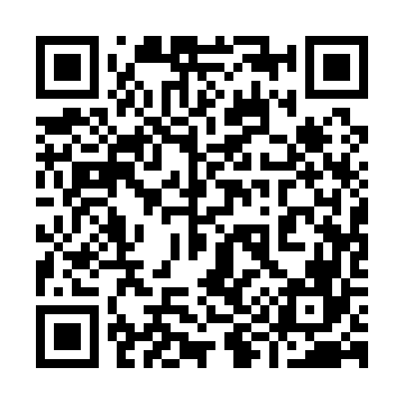 QR code for 991166