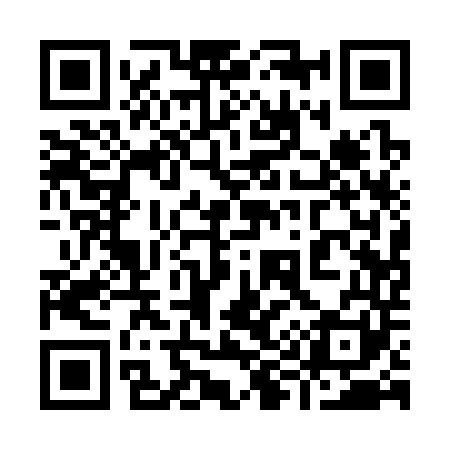 QR code for 991341