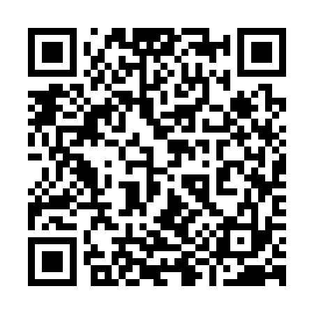 QR code for 993333